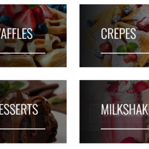 Shandaar Sweets & Ice Cream Bar